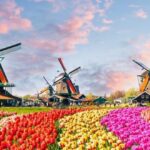 Holland Holland