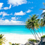 Mittelamerika Karibik Barbados Strand Palmen Meer Mittelamerika Karibik Barbados Strand Palmen Meer